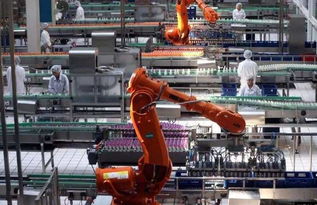 大型裝備制造項(xiàng)目生產(chǎn)計(jì)劃管理全攻略 從理論到實(shí)踐的信息技術(shù)應(yīng)用與咨詢指南